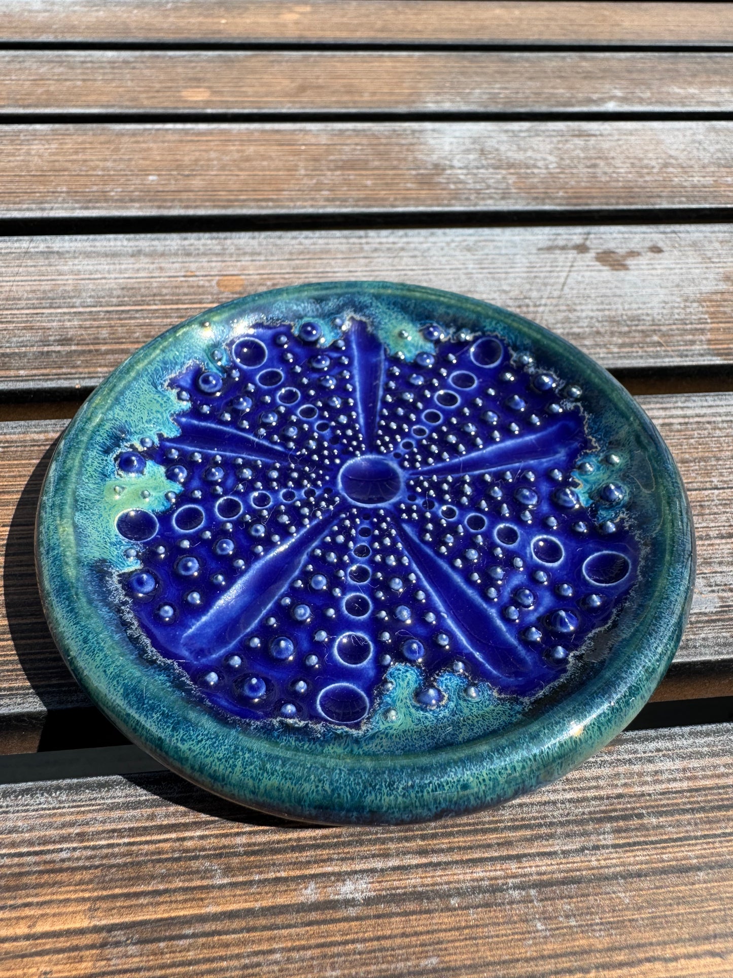Ceramic Sea Urchin Garlic/Ginger Grater
