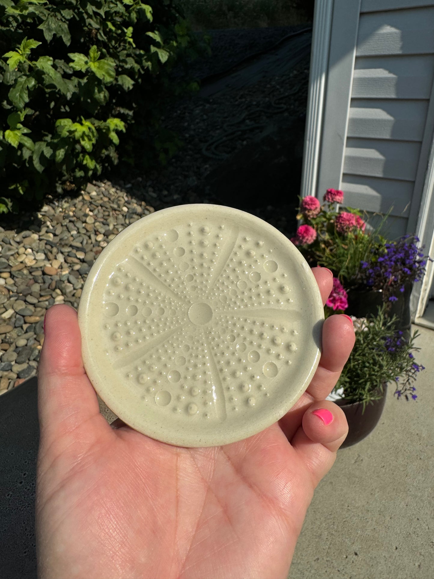 Ceramic Sea Urchin Garlic/Ginger Grater