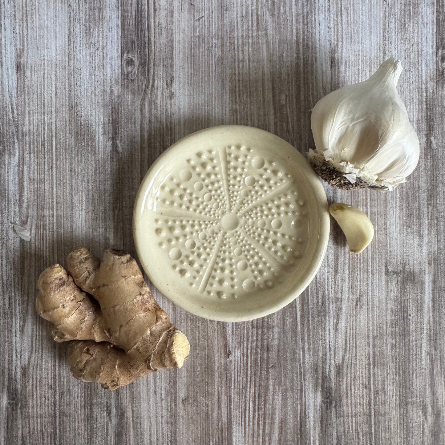 Ceramic Sea Urchin Garlic/Ginger Grater