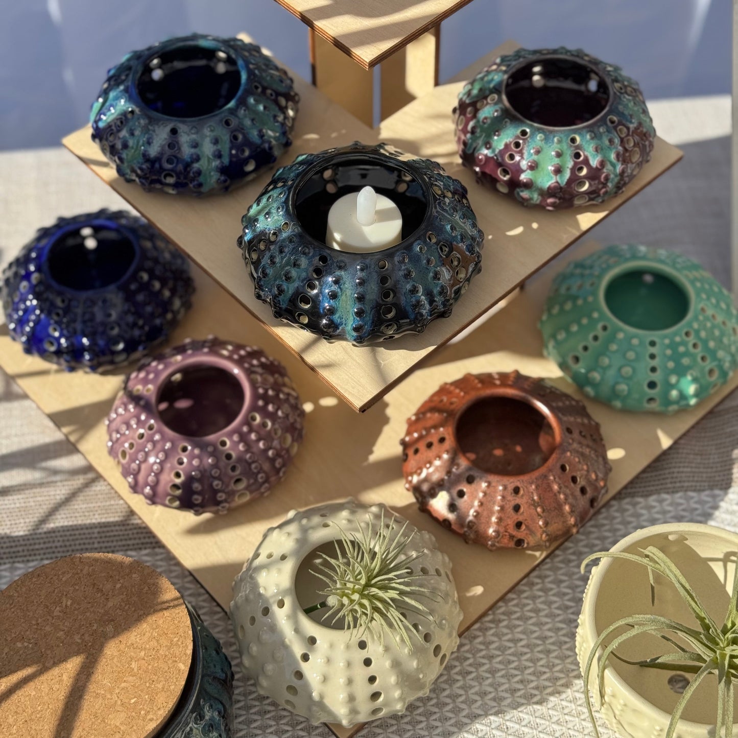 Small Sea Urchin Votive