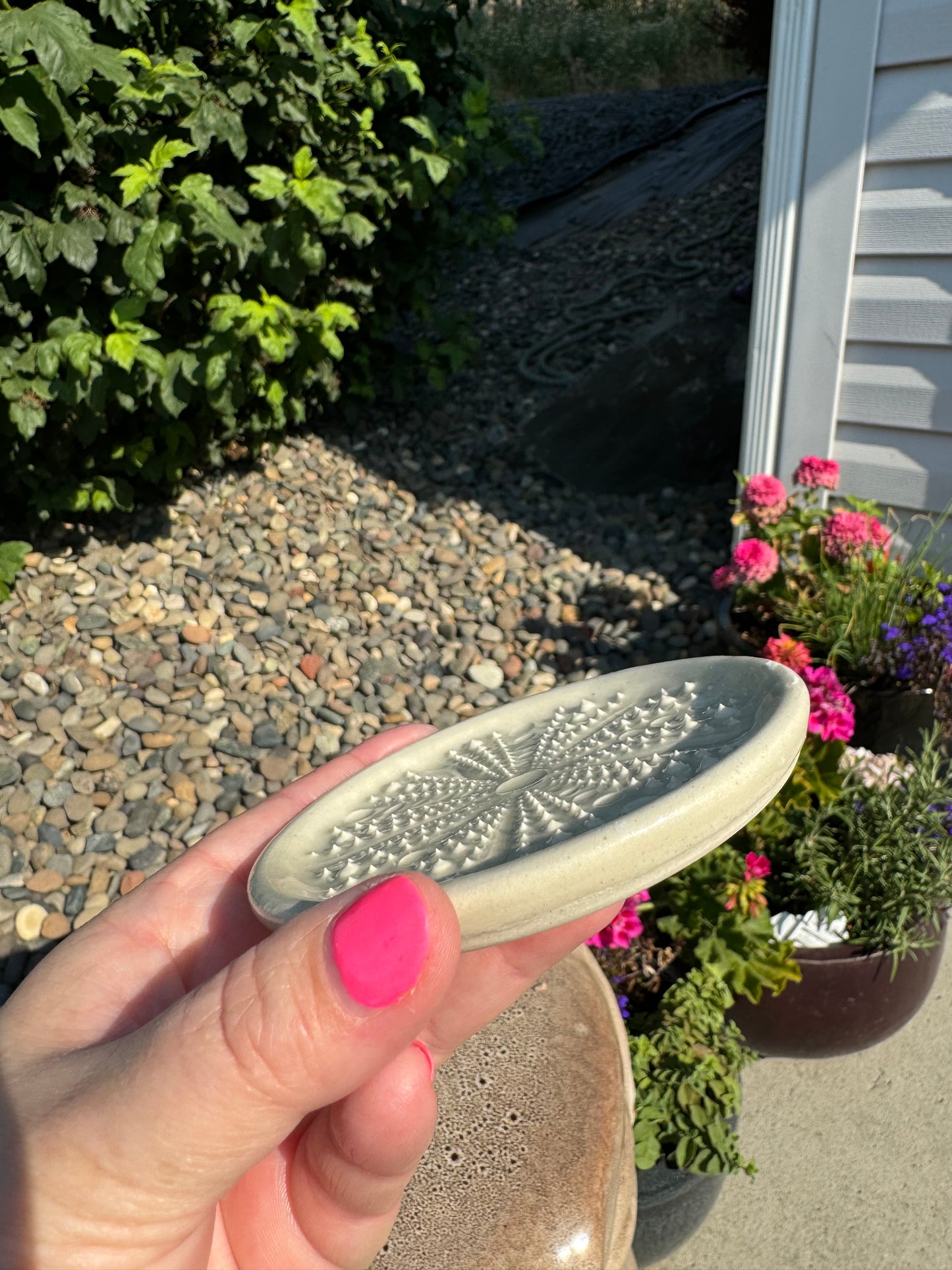 Ceramic Sea Urchin Garlic/Ginger Grater