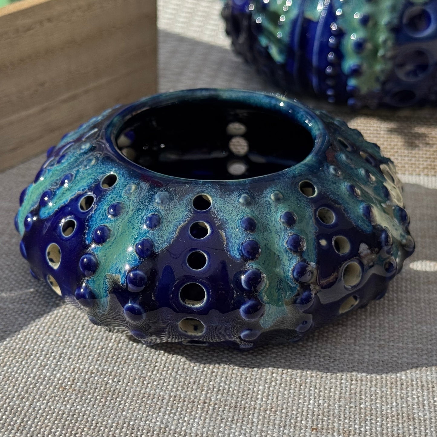 Small Sea Urchin Votive