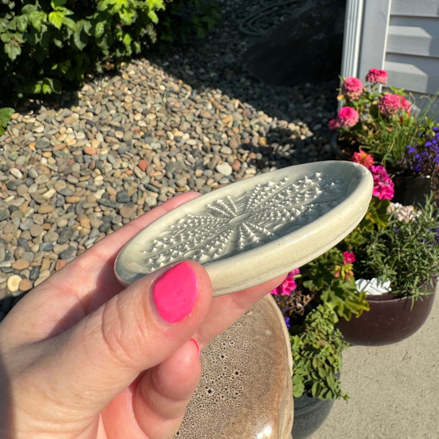 Ceramic Sea Urchin Garlic/Ginger Grater