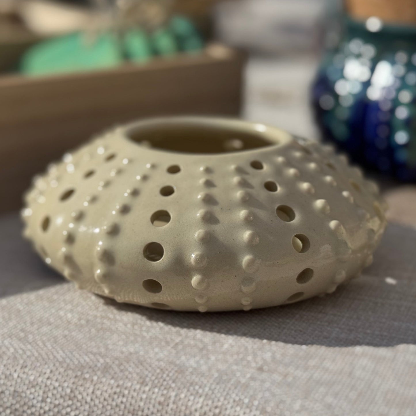 Small Sea Urchin Votive
