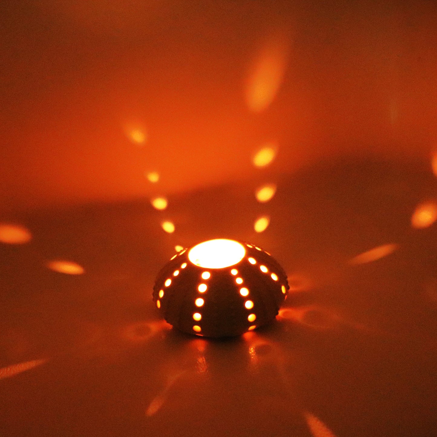 Small Sea Urchin Votive